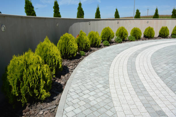 Best Concrete Paver Driveway  in Wilson, AR